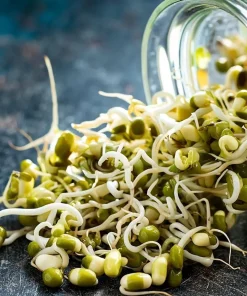 Mung Bean Sprouting Seeds - 500 Count, Nutrient-Rich, Easy to Sprout - Image 1