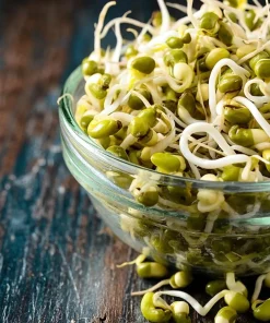 Mung Bean Sprouting Seeds - 500 Count, Nutrient-Rich, Easy to Sprout - Image 3