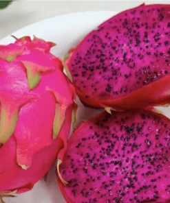 Natural Mystic Pitaya Fruit Tree - Live Dragon Fruit Plant - Image 1