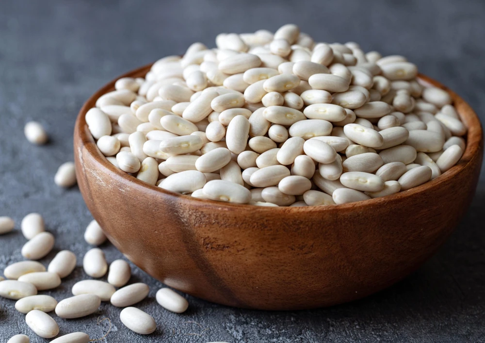 Navy Bean Seeds - Michigan Pea White Soup Vegetable Seeds - 50 Count - Image 2