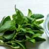 New Zealand Spinach Seeds – 50 Count – Heat-Tolerant Vegetable - Image 1