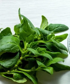 New Zealand Spinach Seeds – 50 Count – Heat-Tolerant Vegetable - Image 1