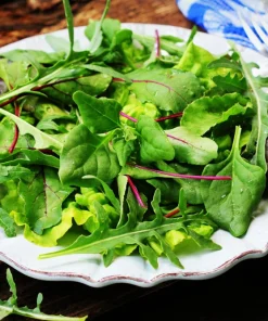 New Zealand Spinach Seeds - 60 Tetragonia Tetragonioides Vegetable Greens - Image 9