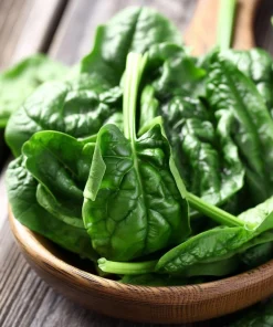 Noble Giant Spinach Seeds – Heirloom Vegetable – 200 Seeds – Large Tender Leaves - Image 3