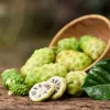 Noni Fruit Tree Seeds - Morinda Citrifolia - 20 Seeds - Indian Mulberry - Image 1