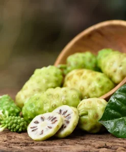 Noni Fruit Tree Seeds - Morinda Citrifolia - 20 Seeds - Indian Mulberry - Image 1