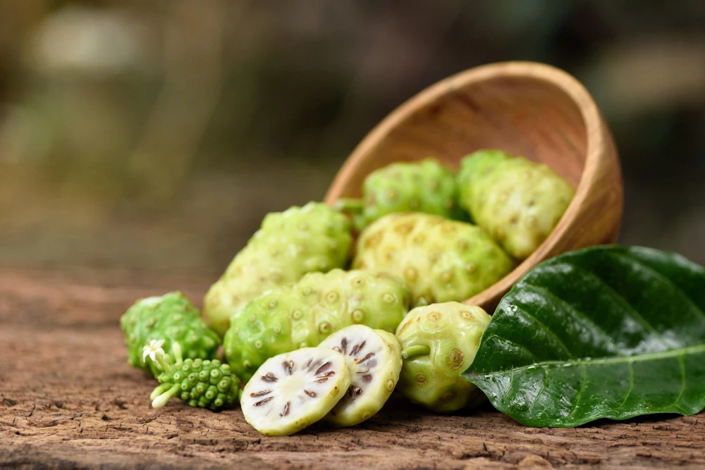 Noni Fruit Tree Seeds - Morinda Citrifolia - 20 Seeds - Indian Mulberry - Image 1