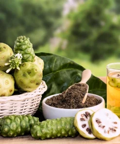Noni Fruit Tree Seeds - Morinda Citrifolia - 20 Seeds - Indian Mulberry - Image 7