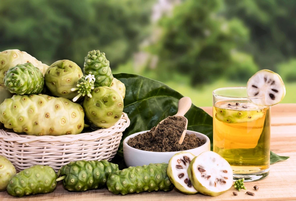 Noni Fruit Tree Seeds - Morinda Citrifolia - 20 Seeds - Indian Mulberry - Image 7