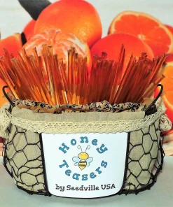 Orange Honey Sticks 5-Pack - Natural Flavored Honey Snack Straws, Kosher Certified - Image 3