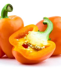 Orange King Bell Pepper Seeds - 100 Sweet Capsicum Annuum Vegetable Seeds - Image 4