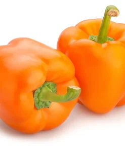 Orange King Bell Pepper Seeds - 100 Sweet Capsicum Annuum Vegetable Seeds - Image 5