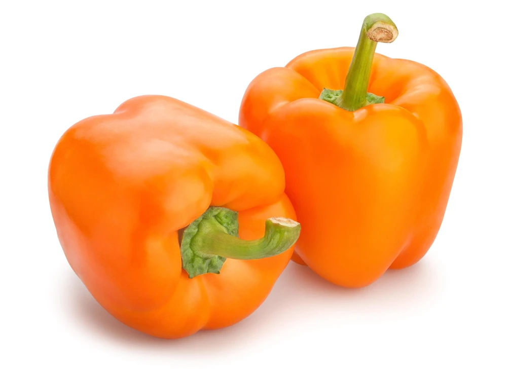 Orange King Bell Pepper Seeds - 100 Sweet Capsicum Annuum Vegetable Seeds - Image 5