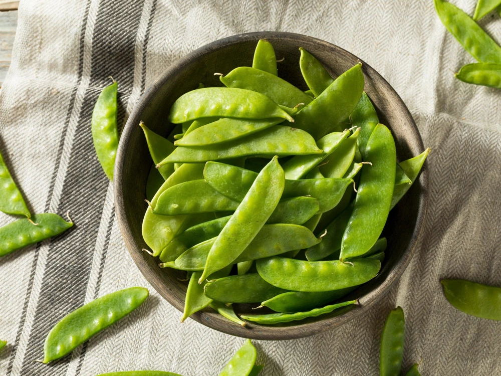 Oregon Sugar Pod II Pea Seeds – 50 Count – Pisum Sativum Macrocarpon – Vegetable Seeds - Image 3