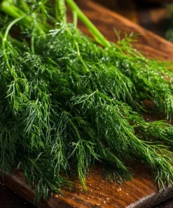 Organic Bouquet Dill Seeds – Anethum graveolens – 100 Seed Pack – Aromatic Culinary Herb - Image 4