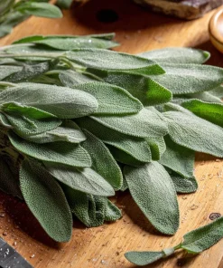 Organic Broadleaf Sage Seeds – 50 Seeds Aromatic Culinary Herb, Hardy Perennial - Image 2