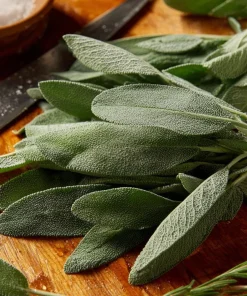 Organic Broadleaf Sage Seeds – 50 Seeds Aromatic Culinary Herb, Hardy Perennial - Image 3