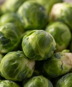 Organic Brussels Sprouts Seeds – Heirloom Mini Cabbage – 50 Seeds – Easy Grow - Image 2