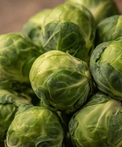 Organic Brussels Sprouts Seeds – Heirloom Mini Cabbage – 50 Seeds – Easy Grow - Image 4