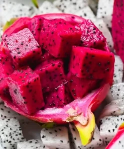 Organic Dragonfruit Edgars Baby Hylocereus Live Starter Plant - 2.5
