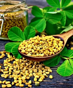 Organic Fenugreek Seeds - Culinary Herb & Spice - 250 Seeds - Trigonella foenum-graecum - Image 1