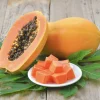 Organic Fortuna Papaya Live Plant - Tropical Fruit Tree with Pot - Image 1