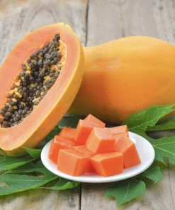 Organic Fortuna Papaya Live Plant - Tropical Fruit Tree with Pot - Image 1