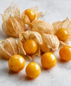 Organic Ground Cherry Seeds - 25 Sweet Pineapple-Like Fruits for Gardening - Image 1