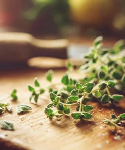 Organic Italian Oregano Seeds - 200 Aromatic Herb Seeds for Culinary Gardens - Image 4