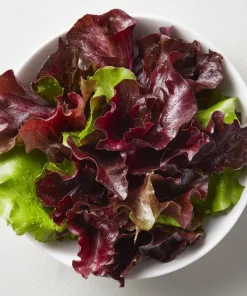 Organic Lollo Rosso Lettuce Seeds – Red Salad Bowl, 250 Seed Pack - Image 5