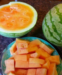 Organic Orange Tendersweet Watermelon Seeds - 15 Seeds - Sweet & Juicy Fruit - Image 2
