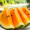Organic Orange Tendersweet Watermelon Seeds - 15 Seeds - Sweet & Juicy Fruit - Image 1