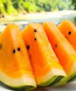 Organic Orange Tendersweet Watermelon Seeds - 15 Seeds - Sweet & Juicy Fruit - Image 1