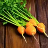 Organic Parisian Carrot Seeds – Heirloom Round Carrots (250 Seeds) – Vegetable Seeds - Image 1
