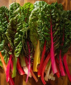 Organic Rainbow Swiss Chard Seeds - 50 Seed Pack | Vibrant Multicolored Stems - Image 1