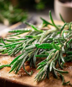 Organic Rosemary Seeds - Rosmarinus officinalis - Culinary Herb - 50 Seed Pack - Outdoor - Image 2