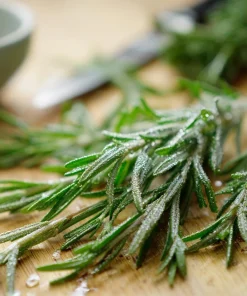 Organic Rosemary Seeds - Rosmarinus officinalis - Culinary Herb - 50 Seed Pack - Outdoor - Image 5