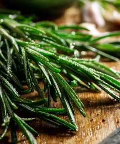 Organic Rosemary Seeds - Rosmarinus officinalis - Culinary Herb - 50 Seed Pack - Outdoor - Image 6