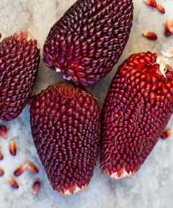 Organic Strawberry Popcorn Seeds - Heirloom Variety, Sweet Kernels, 30 Seeds - Image 1