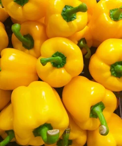Organic Yellow Mini Bell Pepper Seeds - 20 Seeds, Sweet & Mild - Image 3