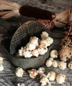 Ornamental Indian Corn Wampum Seeds - Mixed Colors, 100 Seeds, Zea Mays - Image 11