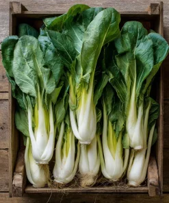 Pak Choi Chinese Cabbage White Stem Seeds – 150 Count – Easy-to-Grow Vegetable Seeds - Image 2