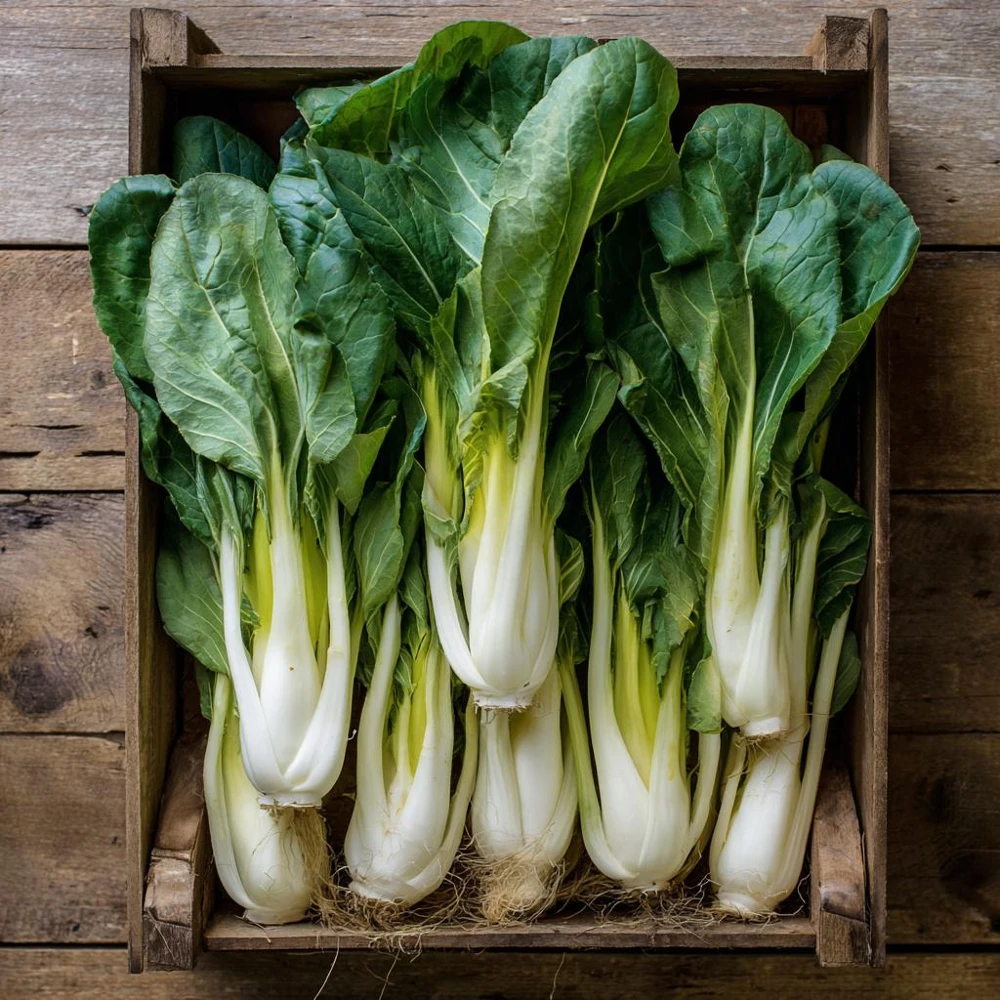 Pak Choi Chinese Cabbage White Stem Seeds – 150 Count – Easy-to-Grow Vegetable Seeds - Image 2