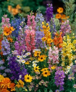 Partial Shade Wildflower Seeds Mix - 1000 Seeds, Attracts Pollinators, Zones 2-9 - Image 3
