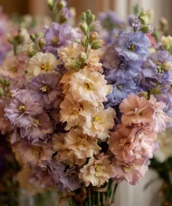 Pastel Mix Stock Flower Seeds - 25 Seeds, Sweet-Scented Edible Blooms - Image 5