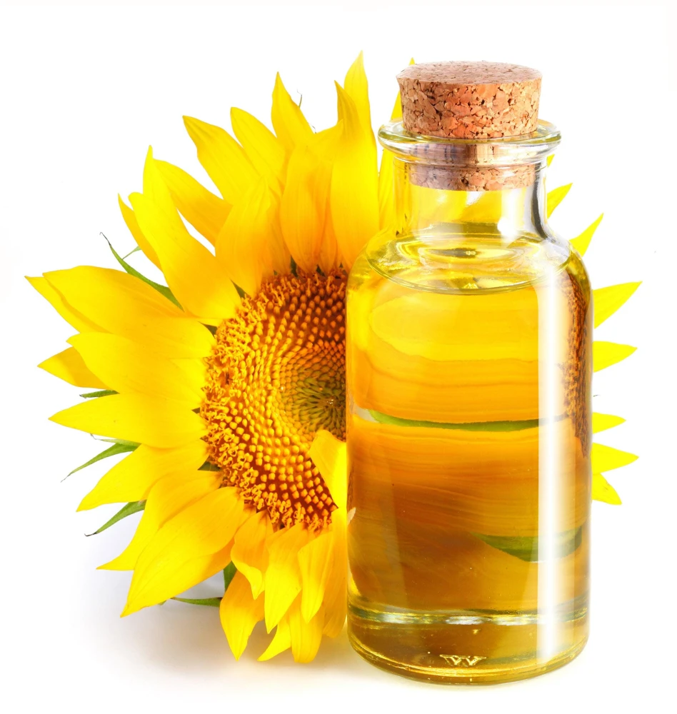 Peredovik Sunflower Seeds - 100 Count, Yellow Oilseed Type, Helianthus Annuus - Image 7