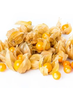 Peruvian Ground Cherry Seeds – Physalis Peruviana – 50 Seeds – Edible Fruit - Image 4