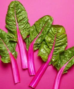 Pink Lipstick Swiss Chard Seeds - 40 Vegetable Seeds, Beta Vulgaris - Image 2