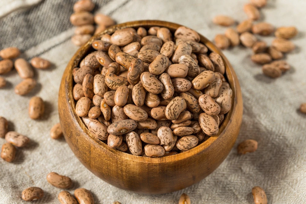 Pinto Bean Seeds - 50 Bush Variety Phaseolus Vulgaris Vegetable Seeds for Garden - Image 1