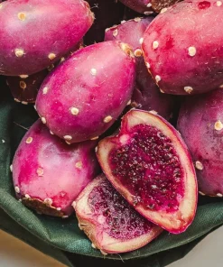 Prickly Pear Opuntia Cactus Live Pads – 2 Edible Drought Tolerant Succulents - Image 2